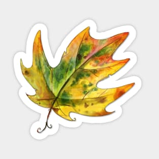 Maple Leaf 3 Sticker